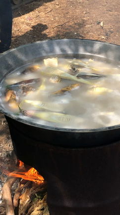 たけのこ採り達人の技の記事動画