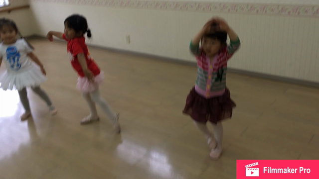 ちっちゃなバレリーナの記事動画