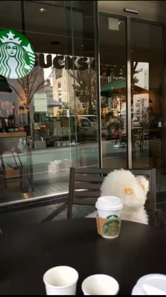 外飲みの記事動画