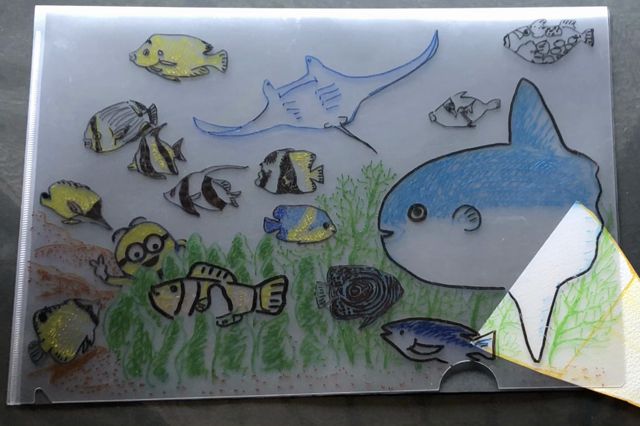 暗闇を照らすと何が見える？の記事動画