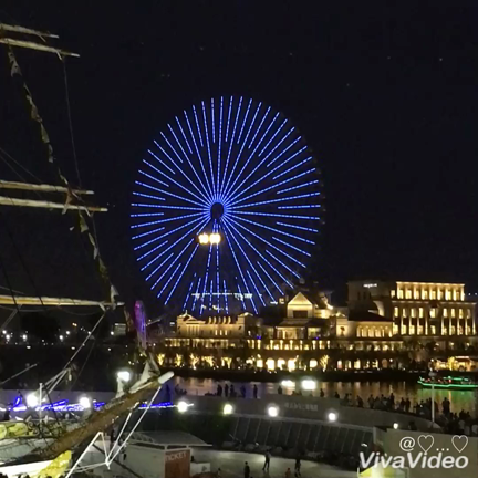 描いてた世界はどこにもなくの記事動画