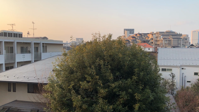 桃の節句の記事動画