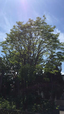 ひとり時間の記事動画