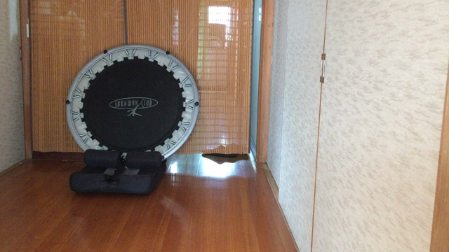 硬式 一人 キャッチボール 室内！の記事動画