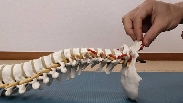 〈動画〉自律神経など調整のため、首・頚椎の矯正法の一つの記事動画