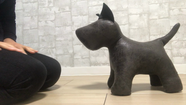 おすすめ！外に出れないからこそやっておきたい！しつけの基礎練習①の記事動画