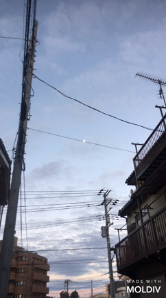 行ってきます！の記事動画