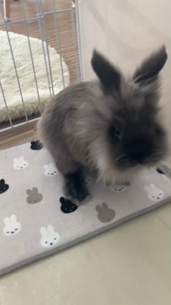 平日だね！！！の記事動画