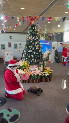 かめ点灯式。の記事動画