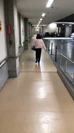 現在の歩き方の記事動画