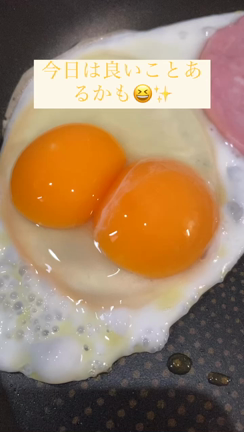 ツナチャーハンの夕食♡と、得した？！の記事動画