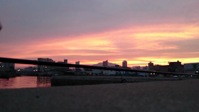 兵庫突堤にて サバングの記事動画