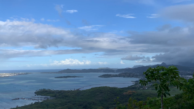 プウマエリエリピルボックスの記事動画