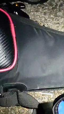 令和狸合戦ぽんぽこ①の記事動画