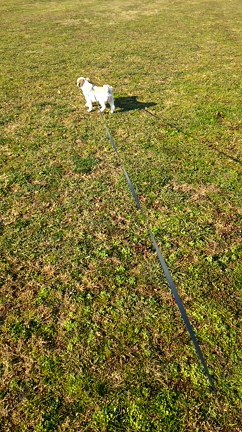 今日のの記事動画