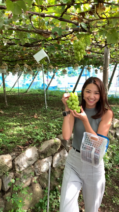 若様、ななこさん、しおみんとぶどう狩り&ゴルフの記事動画