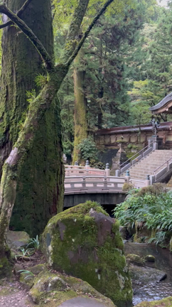 【癒しスポットめぐり】翌日の目覚めスッキリ！足柄のパワースポット｢大雄山最乗寺｣の記事動画