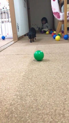 ばーちゃんの左手がおかしいの記事動画