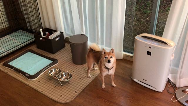 【金運の新しいお話】自分を信頼して金運を積み上げる三つの方法☆の記事動画