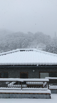 大雪だぁ…(°_°)の記事動画