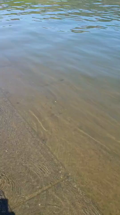 真野ダム攻略のヒント！？の記事動画