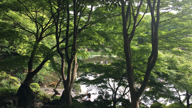 健やかな今日を祈り、祝しての記事動画