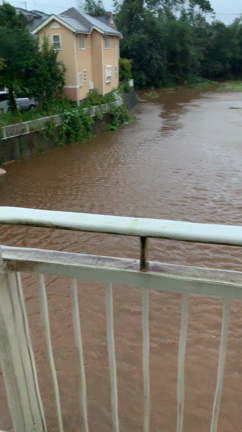 被災地より   その1の記事動画