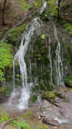 栗拾い〜渋皮煮の記事動画