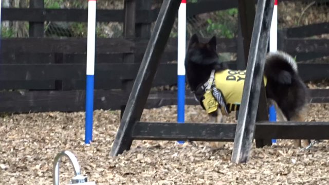 『ママがいない・・・』の記事動画