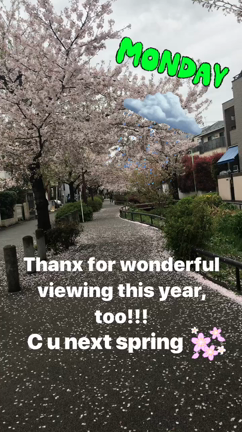 バースデーウィーク前後のあれこれ！の記事動画