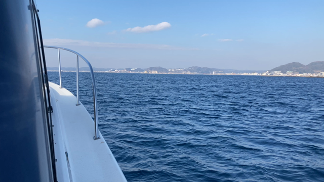 ゆく年の記事動画