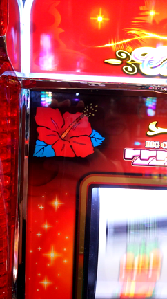 ⬛稼働報告⬛6月11日(日)～6月24日(土)ハナハナでハマり地獄……そして低貸しへ。。の記事動画