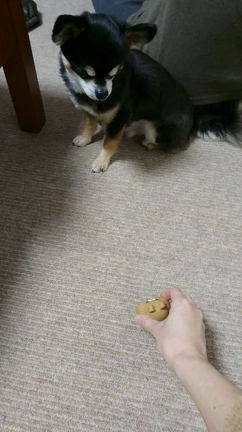 朝の時間は過ぎるの早いんだけど。の記事動画