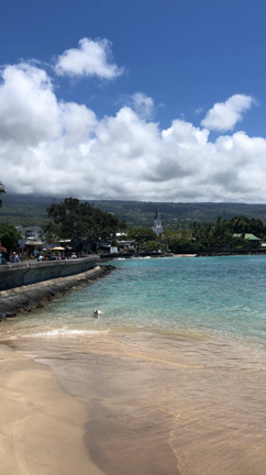 ハワイでは当たり前な光景の記事動画
