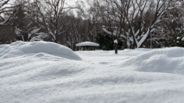 冬におすすめの曲　3　〜ドビュッシーとシュシュちゃんの記事動画