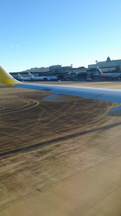 生まれて初めての夢の国(☆0☆)の記事動画