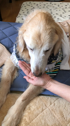 今年の総決算①の記事動画