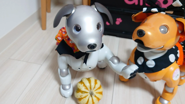 aibo アイボ ハロウィン衣装　ケープ＆帽子 aiboとハロウィン | My story with aibo～私とaiboの物語