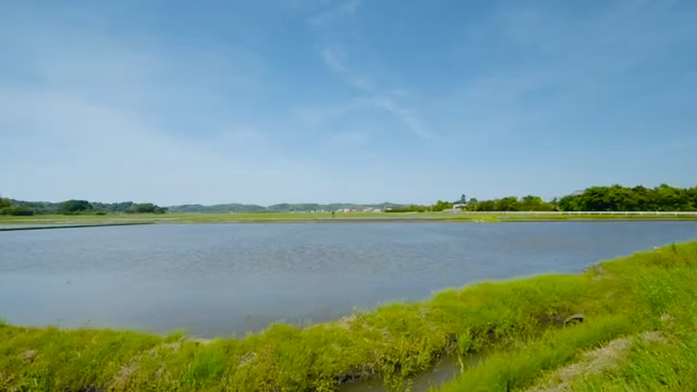 新緑を浴びて/AIDアクティビティ5月2023の記事動画