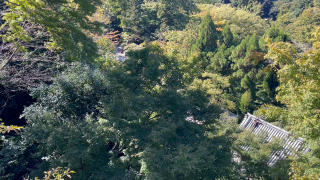 京都観光の記事動画