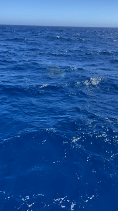 ◇6月29日 キハダキャスト◇の記事動画