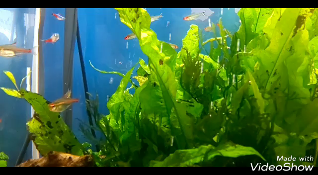 今日の東京風景です。☆の記事動画