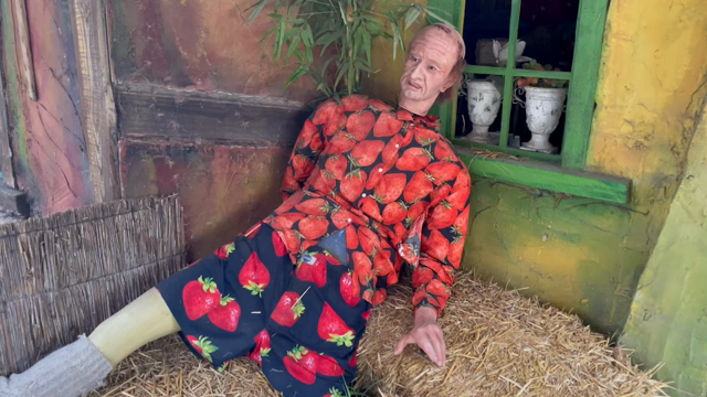 いちご狩り？の記事動画