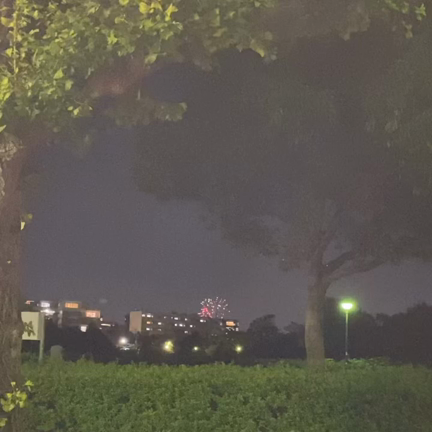 玉屋〜打ち上げ花火が！の記事動画