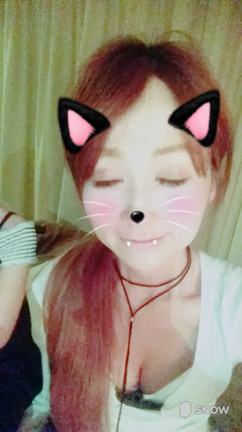 ﾒﾝｿｰﾚの町にただいまの記事動画