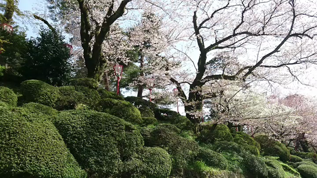 ポカポカ陽気♪の記事動画