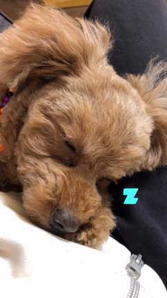 休養の記事動画