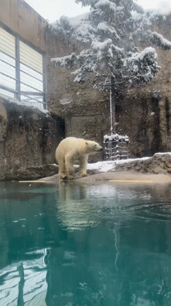 温泉デトックスの記事動画