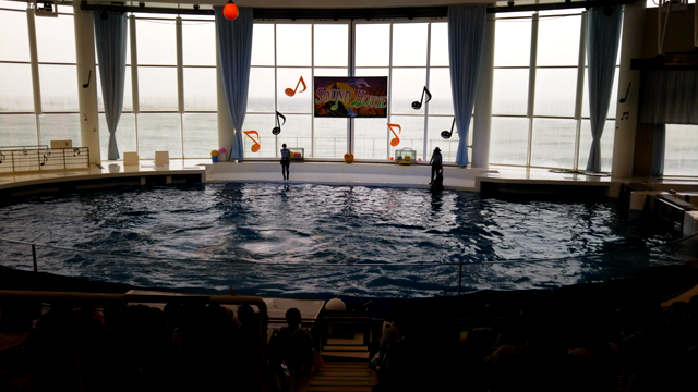 運動会と水族館の記事動画