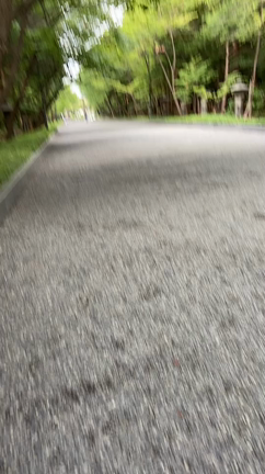 SHINGEN の効果をだす為には、身体を知ること、食事を見ることの記事動画